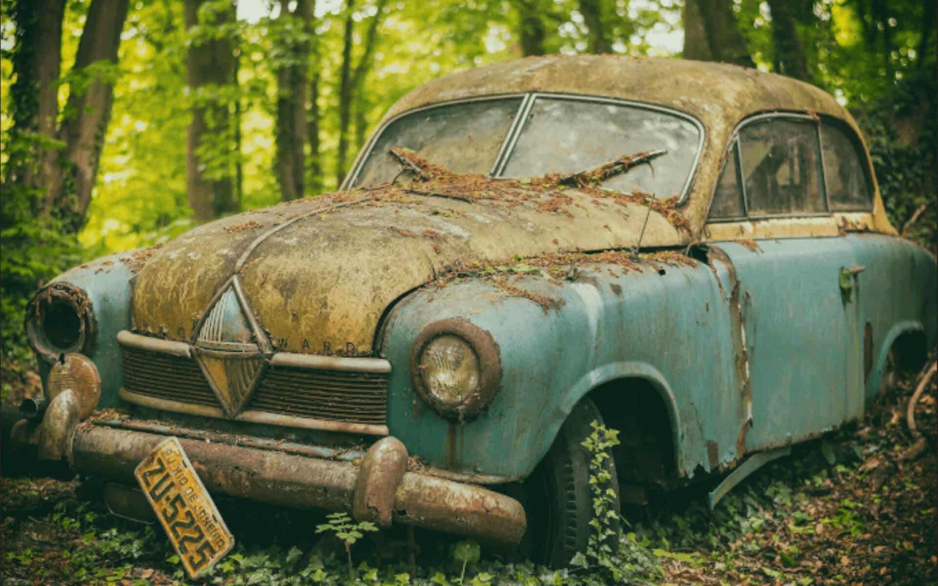 A blue and cream 1950's car quietly rusting in the woods and overgrowth
